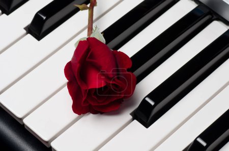 Téléchargez les photos : Clavier pour piano avec bouton rose rouge - en image libre de droit