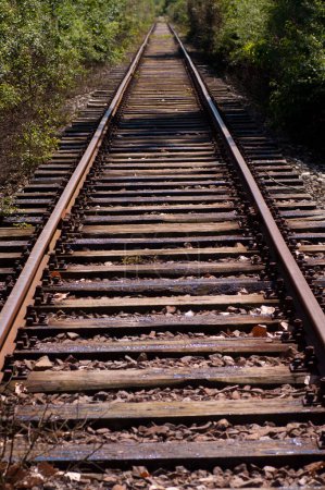Photo for Old and rusty train tracks - Royalty Free Image