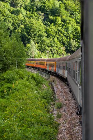 Téléchargez les photos : Train dans la forêt - en image libre de droit