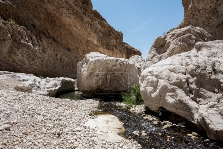 Téléchargez les photos : Rivière de Wadi Bani Khalid, Oman - en image libre de droit