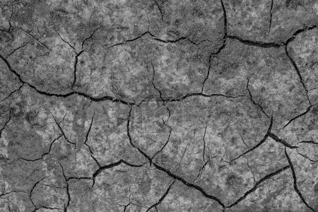 Téléchargez les photos : Terre grise fissurée sèche - en image libre de droit
