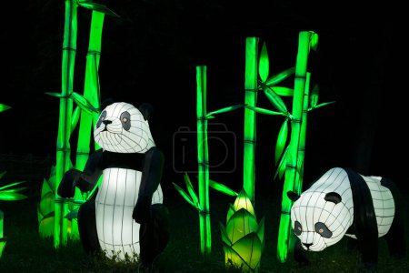 Téléchargez les photos : Le Festival des Lanternes une tradition chinoise séculaire - en image libre de droit