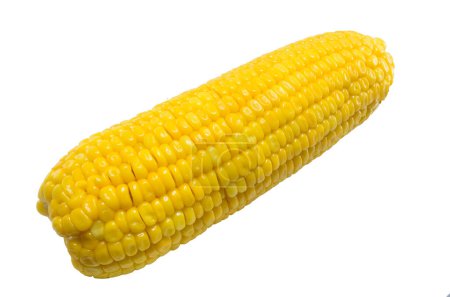 Photo for Corn background view  close up - Royalty Free Image