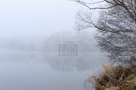 Téléchargez les photos : Étang dans le brouillard vue de fond - en image libre de droit