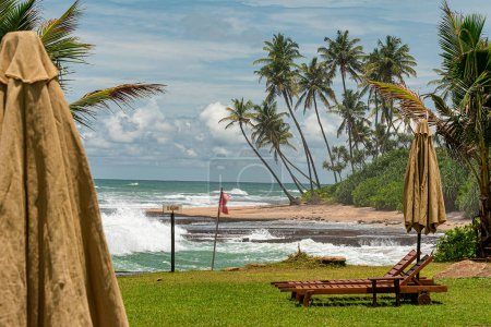 Téléchargez les photos : Salons de soleil en bois et parasols en attente des touristes - en image libre de droit