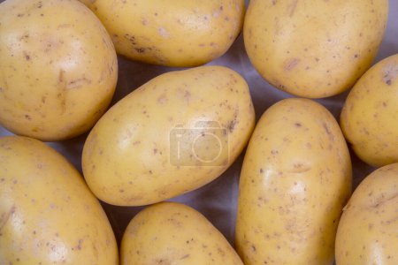 Téléchargez les photos : Bébé nouvelles pommes de terre vue du dessus - en image libre de droit