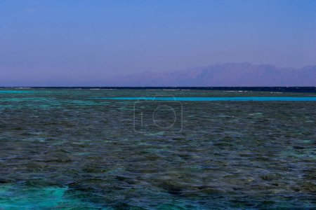 Foto de Mar Rojo, Dahab, Egipto - Imagen libre de derechos