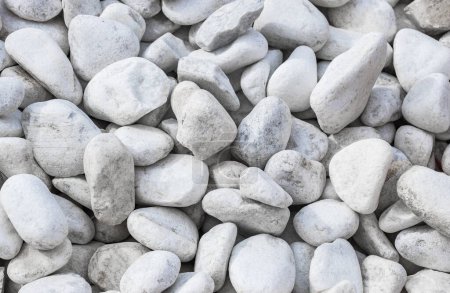 Photo for Abstract creative backdrop. White pebbles background - Royalty Free Image