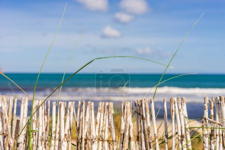 Téléchargez les photos : L'été sur la côte de la mer - en image libre de droit