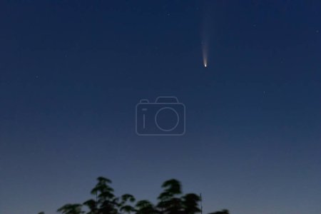 Foto de Cometa C / 2020 F3 (NEOWISE) en el cielo temprano en la mañana sobre el árbol, Zaporizhzhia, Ucrania, 12 de julio de 2020 - Imagen libre de derechos