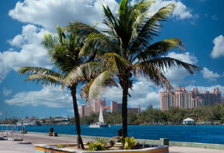 Téléchargez les photos : Resort de luxe à travers les palmiers - en image libre de droit