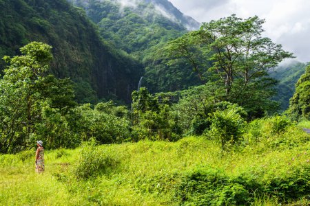 Téléchargez les photos : Touriste femme dans la forêt tropicale tahitienne - en image libre de droit