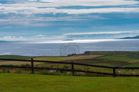 Foto de Estación de ovejas en la costa irlandesa - Imagen libre de derechos