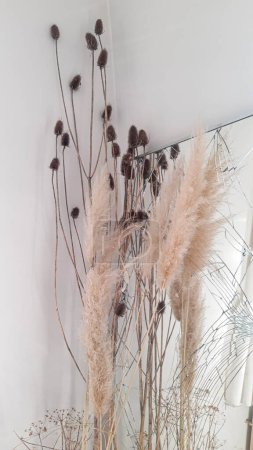 Photo for Interior design, dried plants, reed, cane in front of broken mirror and white walls - Royalty Free Image
