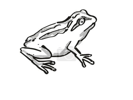 Téléchargez les photos : Whistling Tree Frog Nouvelle-Zélande Wildlife Cartoon Retro Dessin - en image libre de droit