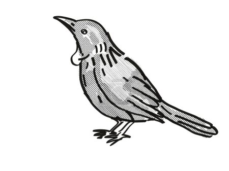 Téléchargez les photos : Dessin rétro Tui New Zealand Bird Cartoon - en image libre de droit
