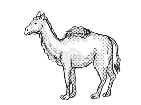 Photo for Western Camel Extinct  North American Wildlife Cartoon Drawing - Royalty Free Image