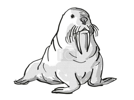 Foto de Dibujo de dibujos animados de vida silvestre en peligro de extinción de morsa del Pacífico - Imagen libre de derechos