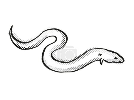 Foto de Dibujo de dibujos animados de vida silvestre en peligro de extinción de anguila europea - Imagen libre de derechos