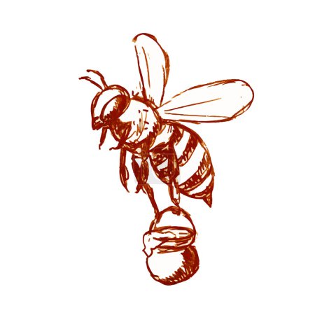 Téléchargez les photos : Abeille à miel portant seau de miel dessin noir et blanc - en image libre de droit
