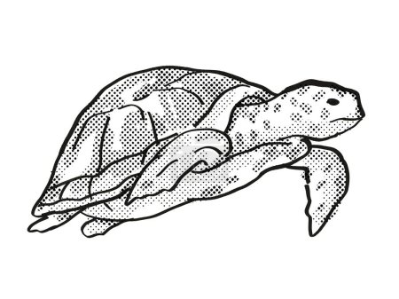 Photo for Green Sea Turtle Endangered Wildlife Cartoon Drawing - Royalty Free Image