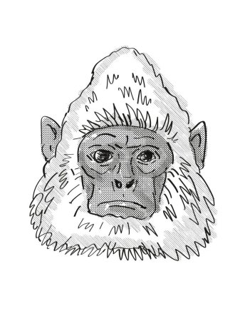 Photo for Sri Lankan Gray Langur Monkey Cartoon Retro Drawing - Royalty Free Image