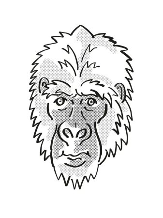 Foto de Gorila Oriental o Gorila Berengei Vida Silvestre En Peligro Dibujo de la línea Mono de dibujos animados - Imagen libre de derechos
