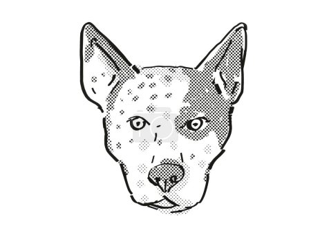 Foto de Ganado australiano perro raza dibujos animados dibujo retro - Imagen libre de derechos