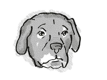 Foto de Afador o Afghan Lab Dog Breed Dibujo retro de dibujos animados - Imagen libre de derechos