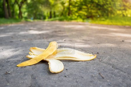 Téléchargez les photos : Une peau de banane repose sur un sentier pédestre - en image libre de droit
