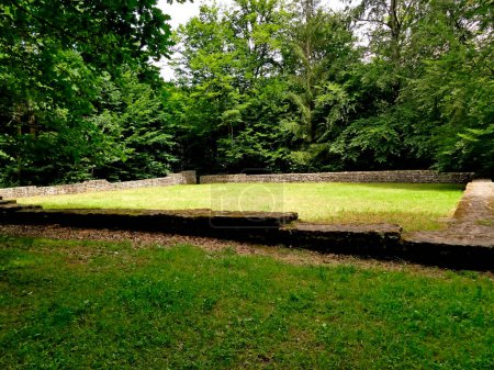 Téléchargez les photos : Mur d'un monument celtique historique caché dans une forêt allemande - en image libre de droit
