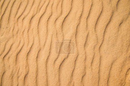 Photo for Sand of a beach with line pattern - Royalty Free Image