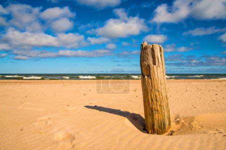 Foto de "playa del Mar Báltico en Orzechowo, Polonia, con madera de deriva - Imagen libre de derechos