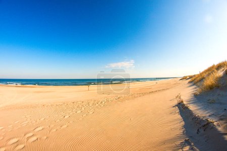 Foto de "playa solitaria, no afectada del Mar Báltico en Polonia
" - Imagen libre de derechos