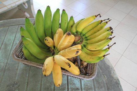 Téléchargez les photos : Mûrissement des bananes en groupes sur le fond de la table - en image libre de droit