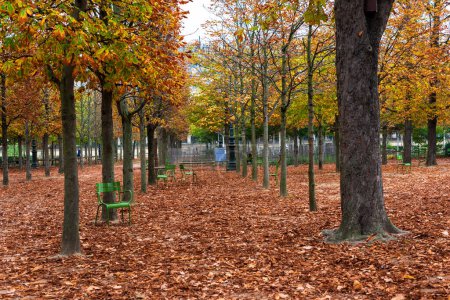 Photo for Fallen Leaves in the Tuileries Gardens - Royalty Free Image