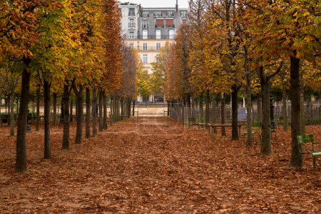 Téléchargez les photos : Chemin dans les jardins des Tuileries - en image libre de droit