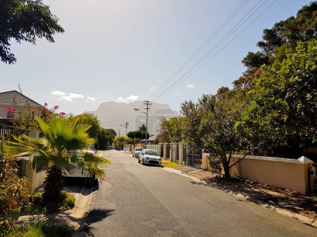 Photo for Street in Claremont, Cape Town, South Africa. Sunny weather - Royalty Free Image