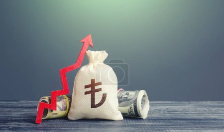 Photo for Turkish lira money bag and red arrow up. Growth of economy and increase of investment attractiveness. Recovery. Stable currency. Developing markets. Rising inflation, money supply. Reserve fund - Royalty Free Image