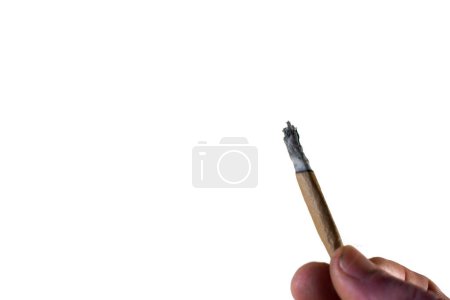 Photo for A Man Holding a Rolled Marijuana Cigar - Royalty Free Image
