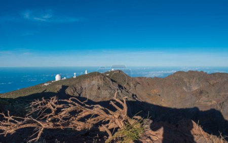 Photo for Dry tree roots at highest peak of La Palma Roque De Los Muchachos with big telescopes of Observatory at Caldera De Taburiente, blue sky and sea in background. La Palma, Canary Islands, Spain - Royalty Free Image