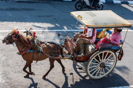 Photo for Horse Drawn Carriage Ride - Royalty Free Image