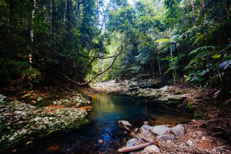 Photo for Cougal Cascades Walk in QLD Australia - Royalty Free Image
