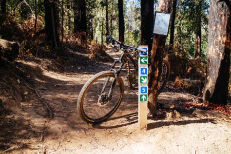 Photo for Buxton Mountain Bike Park in Australia - Royalty Free Image