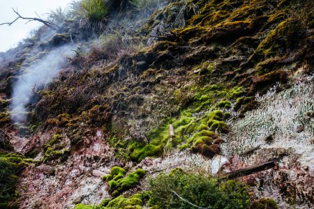 Téléchargez les photos : Vallée Thermale Naturelle de Wairakei en Nouvelle Zélande - en image libre de droit