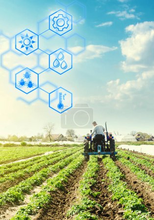 Téléchargez les photos : Un agriculteur conduit un tracteur à travers un champ de plantation de pommes de terre et hex - en image libre de droit