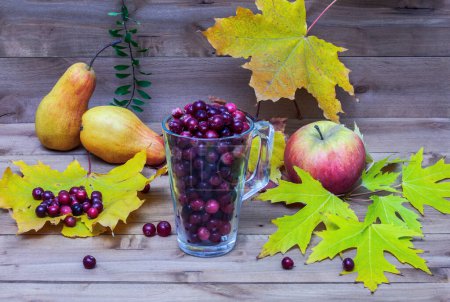 Foto de Bodegón de otoño con fruta, arándanos en una taza de vidrio - Imagen libre de derechos