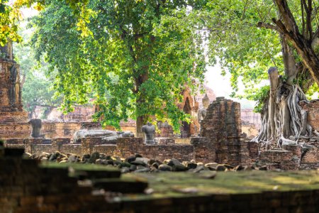 Photo for "Architecture of the Famous Old Temple in Ayutthaya, Temple in Thailand - Royalty Free Image