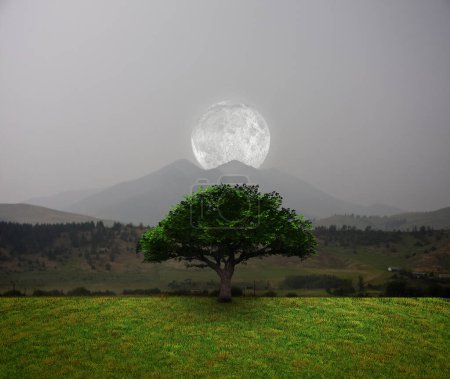 Téléchargez les photos : Ciel gris avec lune. paysage avec herbe, arbres et montagnes - en image libre de droit
