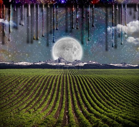 Téléchargez les photos : Vue du champ crépusculaire - en image libre de droit